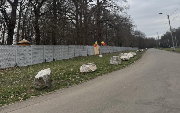 Bolovanii lui Lațcău au invadat orașul! În lipsa parcărilor promise de Administrația Fritz, zonele verzi din Timișoara au fost acoperite cu bolovani!