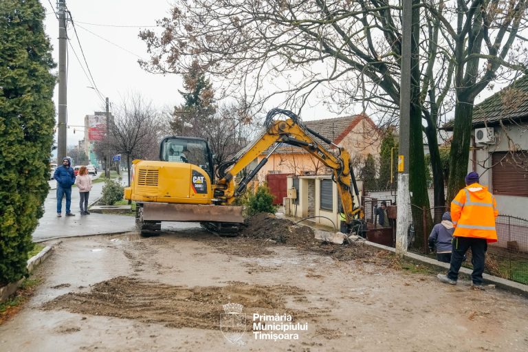 Primăria Timișoara recuperează secțiuni din aliniamentul verde de pe Calea  Aradului