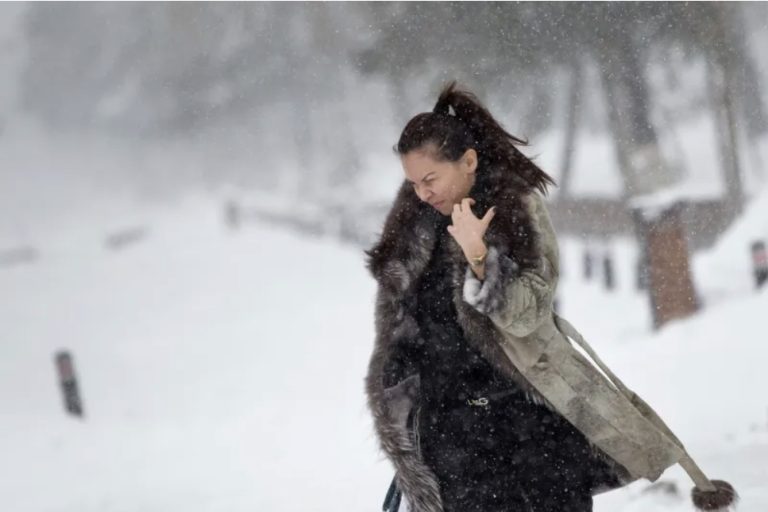 Alertă de iarnă aspră în Banat! Se întorc ninsorile, viscolul și gerul