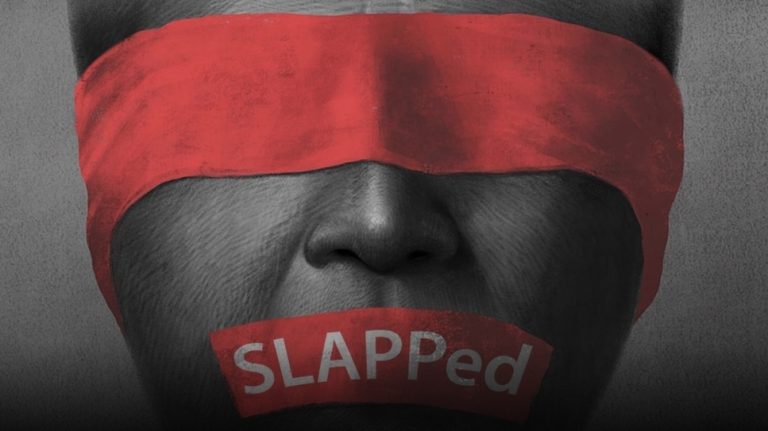 Alertă europeană de hărțuire în justiție pentru jurnalista Brîndușa Armanca și PRESSHUB