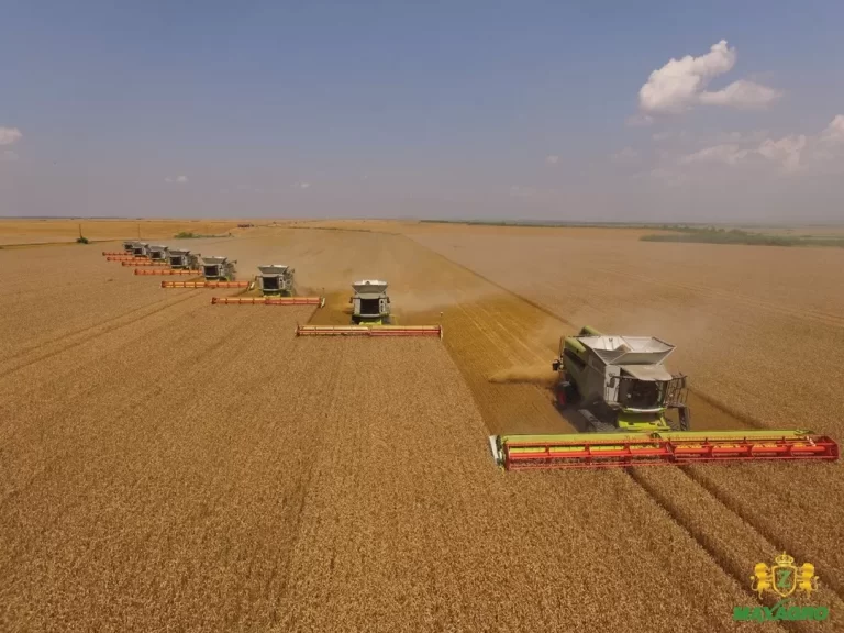 Maxagro, unul dintre cei mai importanți operatori agricoli din vestul țării, lansează o campanie amplă de achiziție și arendare a terenurilor agricole în zona Gătaia și localitățile învecinate