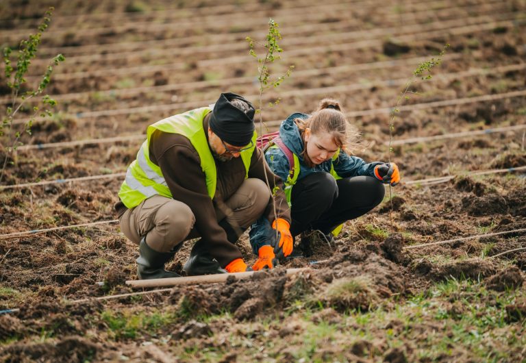 CODRU a plantat 10.000 de copaci la Ianova alături de peste 1.500 de participanți