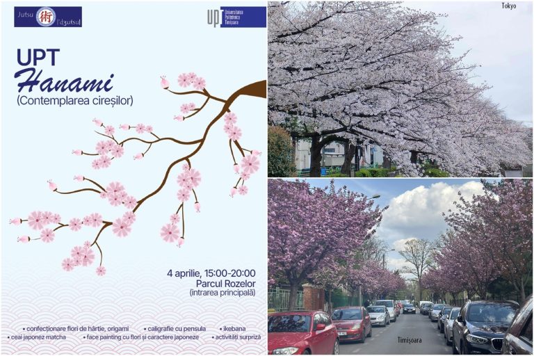 Hanami la Timișoara: Centrul Jutsu de la UPT aduce spiritul Japoniei în  inima orașului florilor