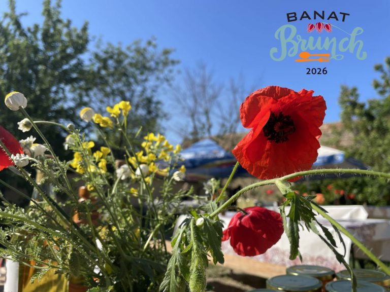 Primăvară în bucătăriile din Banat: Brunch 2026