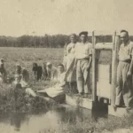 Deportați în Bărăgan, (3)