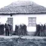 Deportați în Bărăgan, (4)