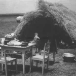 Deportați în Bărăgan, (5)