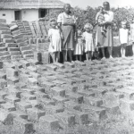 Deportați în Bărăgan, (7)