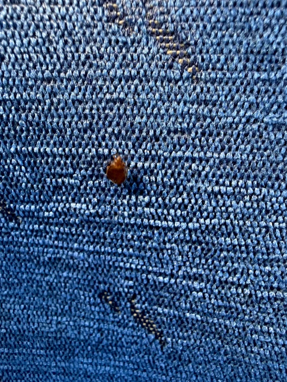 Trenul care face legătura între Timișoara și Arad a fost redus cu un vagon. Motivul este unul cât se poate de neplăcut