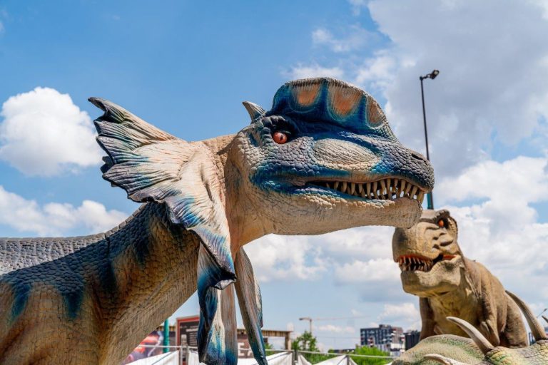 Dinozauri gigant, șah și teatru interactiv: distracția începe la Iulius Town